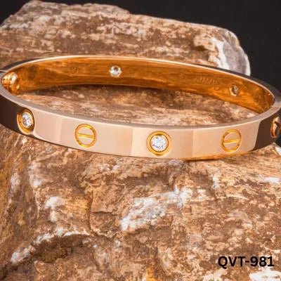 1 Pc Plain Cartier Stainlessteell Bangle QVT-981